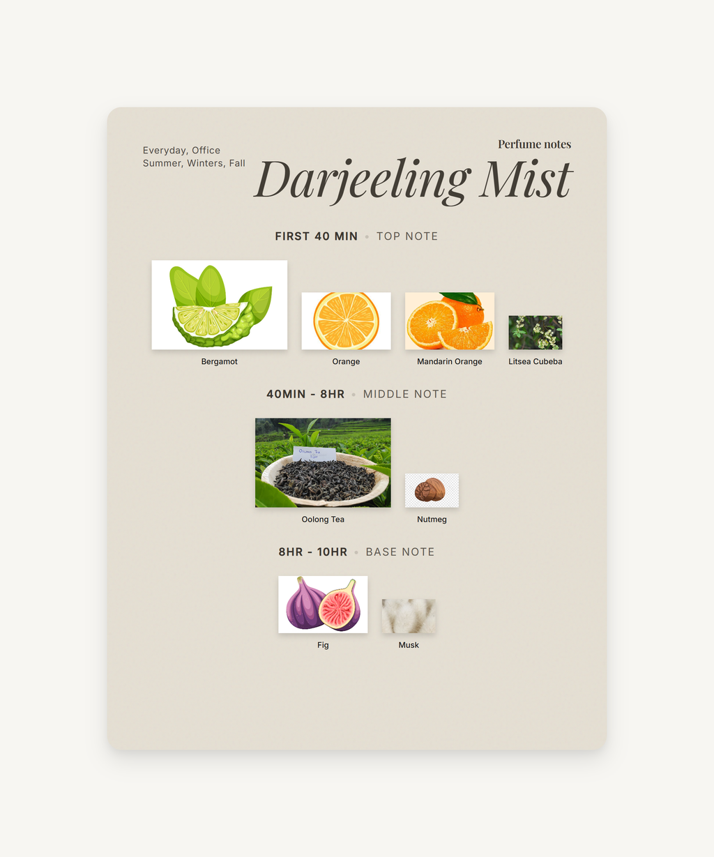 Darjeeling Mist