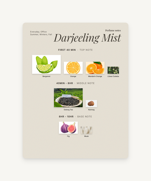 Darjeeling Mist
