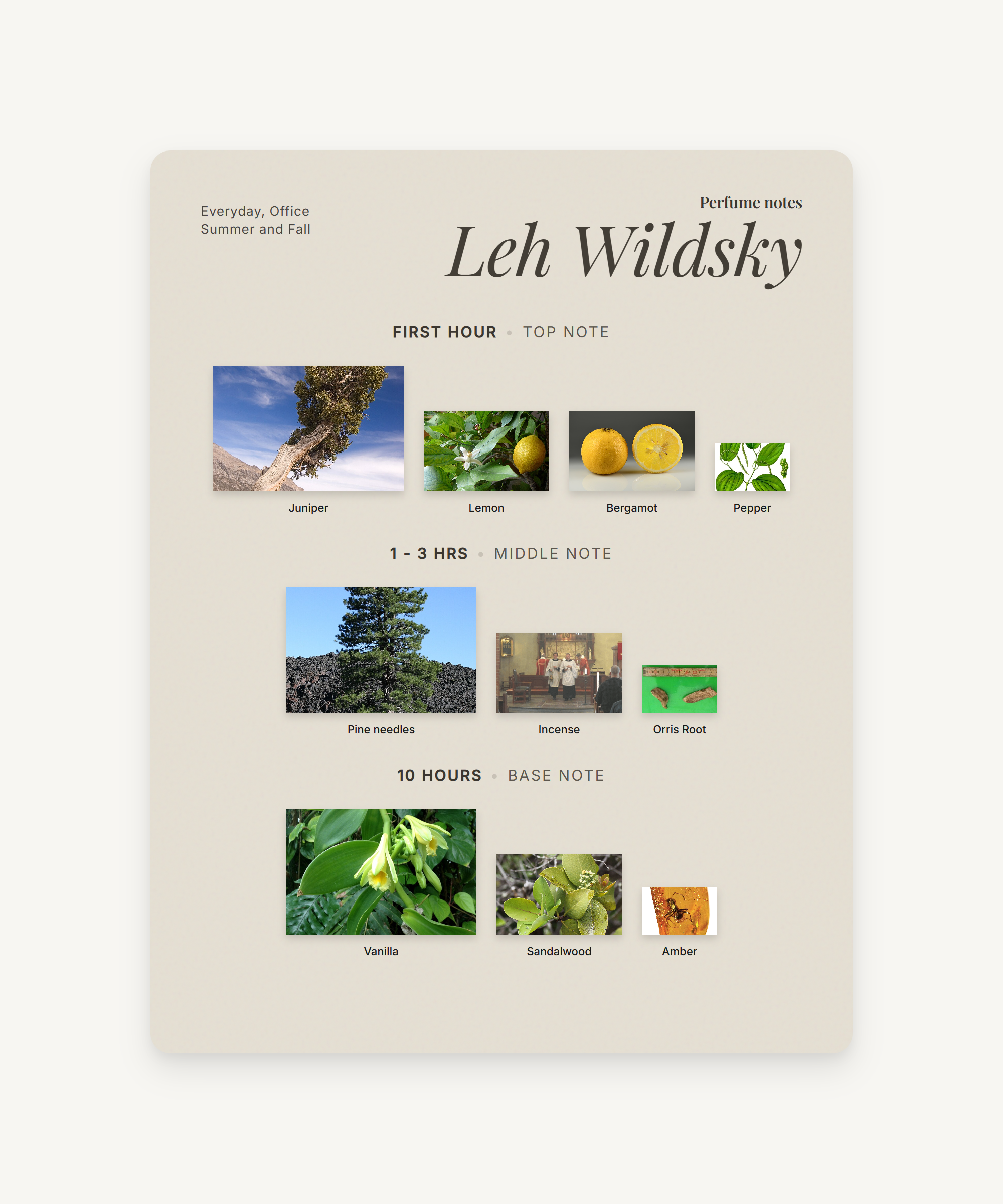 Leh Wildsky