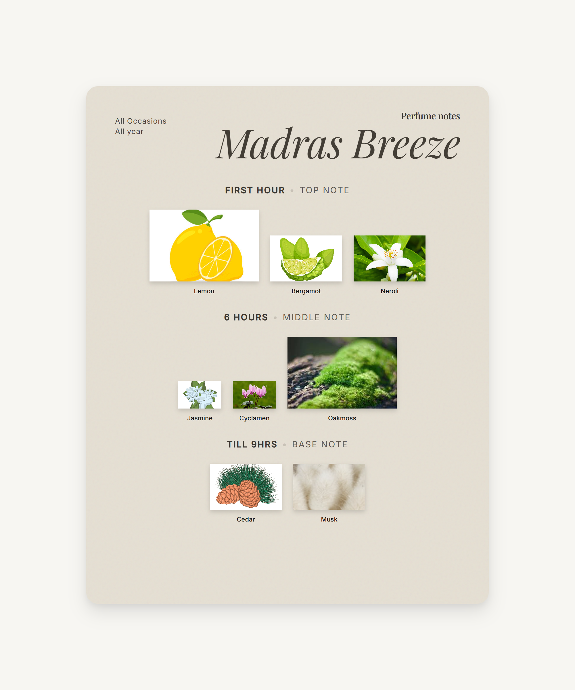 Madras Breeze